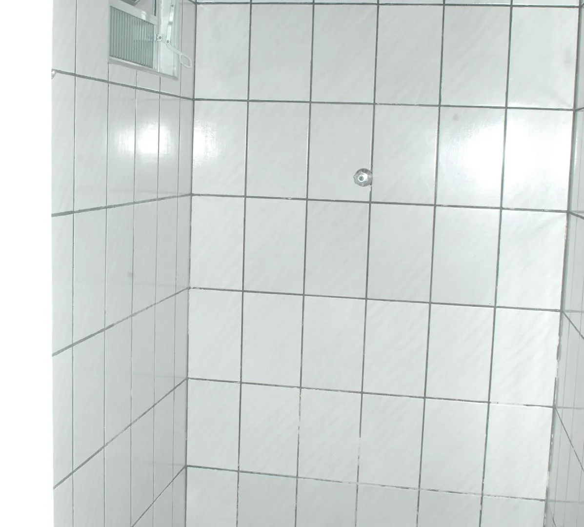 Hotel Carrao 상파울루